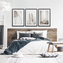 Natural Tones Boho Minimalist Wall Decor. Pampas Grass