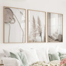 Natural Tones Boho Minimalist Wall Decor. Pampas Grass