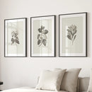 Antique Floral Prints 3 Piece Wall Art Decor
