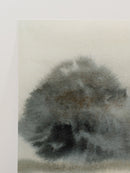 Misty Trees 2