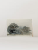 Misty Trees 2