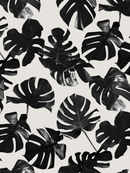 Monstera Leaf Wallpaper, black and off-white