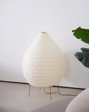 Akari 23N Floor Lamp