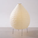 Akari 23N Floor Lamp