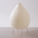 Akari 23N Floor Lamp