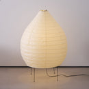 Akari 23N Floor Lamp