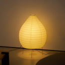 Akari 23N Floor Lamp