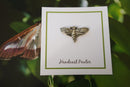 Moth Lapel Pin