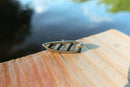 Motorboat Lapel Pin