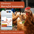 Chicken Coop Odor Eliminator