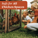 Chicken Coop Odor Eliminator