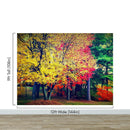 Colorful Autumn Trees Wallpaper Mural.