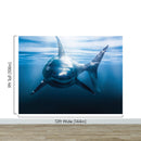 Great White Shark Wall Mural. Peel and Stick Wallpaper.