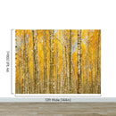 Autumn Scenic Birch Tree Forest Wall Mural | Peel and Stick Wallpaper.