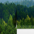 Green Forest Wallpaper Mural. Scenic Landscape Wall Mural.