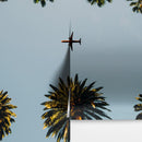 Southern California Palm Trees and Airplane Wallpaper Mural.