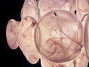 Round Pink Glass Chandelier