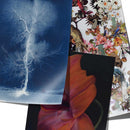 Mysteries of Creation Gift Wrap & Creative Papers Book