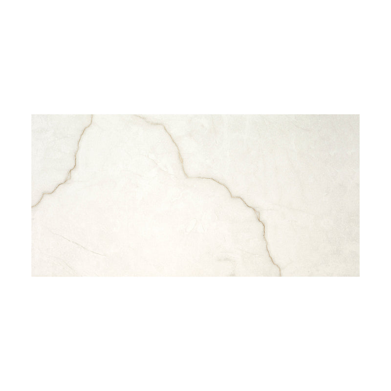 Brighton Gold 12"x24" Matte Porcelain Floor and Wall Tile - MSI Collection tile view 2