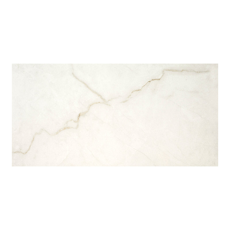Brighton Gold 12"x24" Matte Porcelain Floor and Wall Tile - MSI Collection wall view 2
