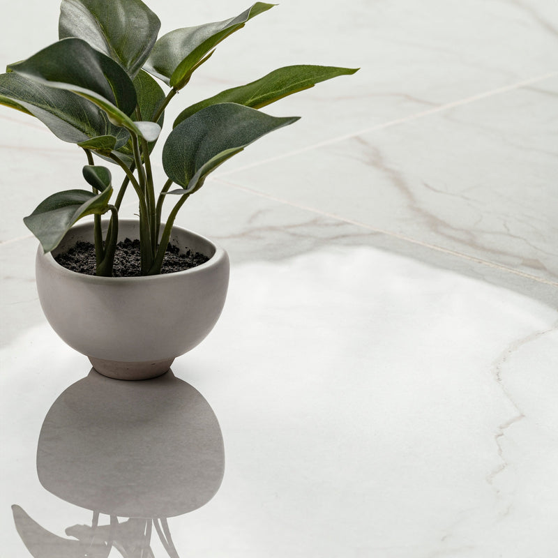 Brighton Gold 24"x24" Polished Porcelain Floor and Wall Tile - MSI Collection plant on table view