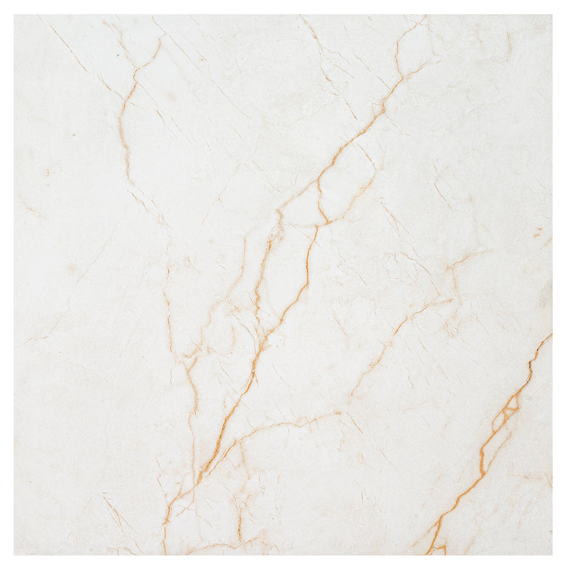 Brighton Gold 24"x24" Matte Porcelain Floor and Wall Tile - MSI Collection closeup view