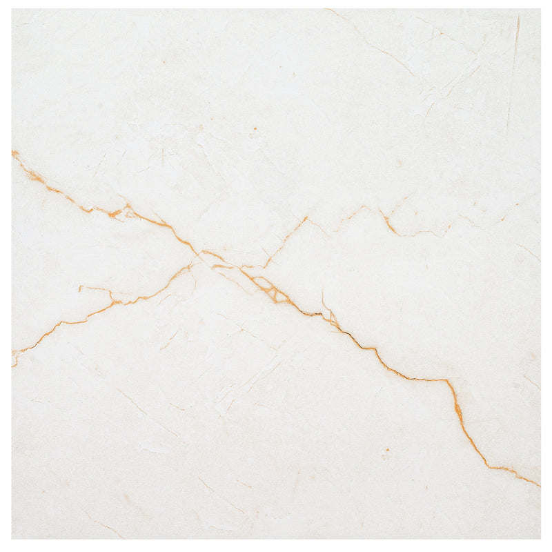 Brighton Gold 24"x24" Matte Porcelain Floor and Wall Tile - MSI Collection angle view