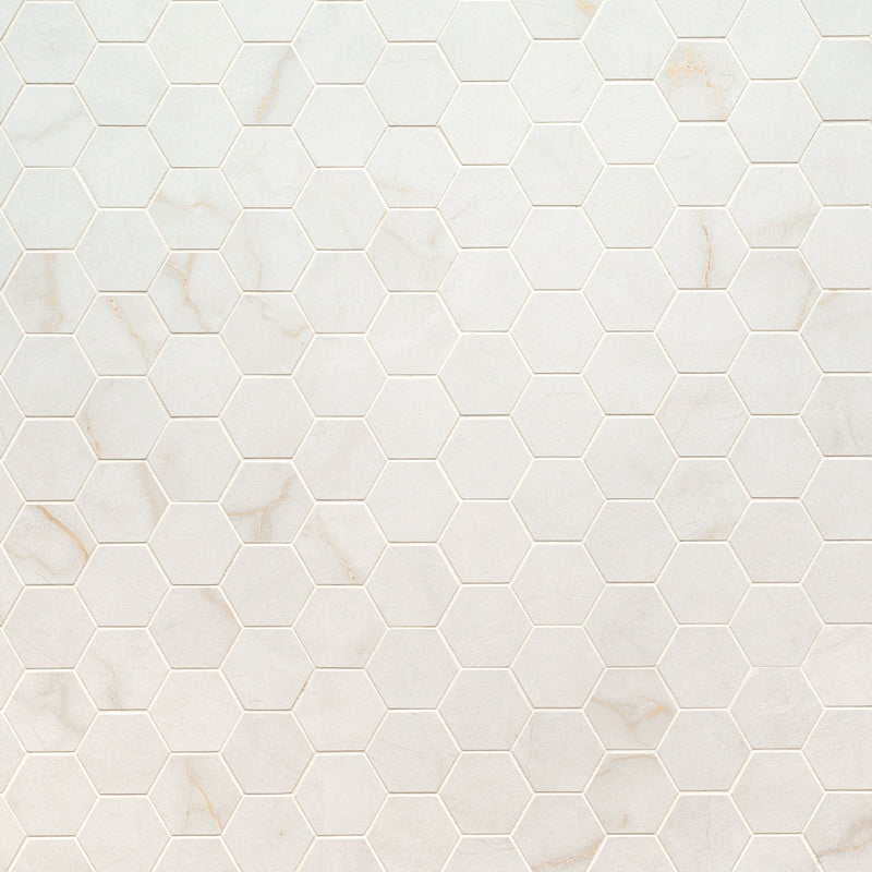 Brighton Gold 12"x12" Hexagon Polished Porcelain Mosaic Floor and Wall Tile - MSI Collection wall view