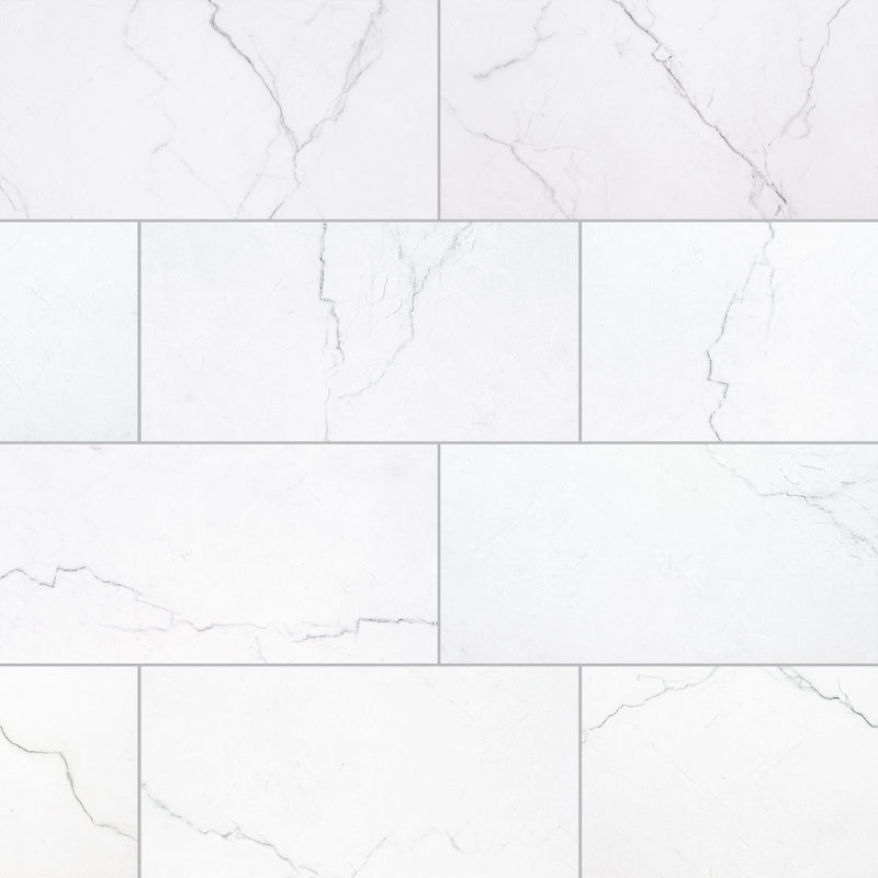 Brighton Grey 12"x24" Polished Porcelain Floor and Wall Tile - MSI Collection