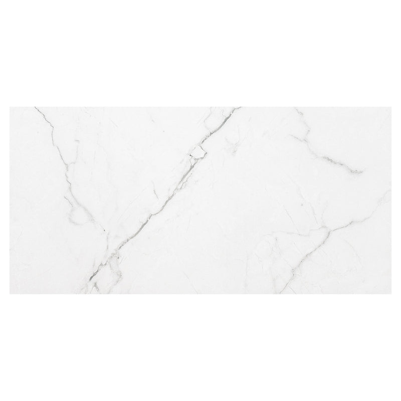 Brighton Grey 12"x24" Polished Porcelain Floor and Wall Tile - MSI Collection