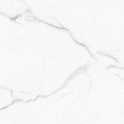 Brighton Grey 12"x24" Polished Porcelain Floor and Wall Tile - MSI Collection