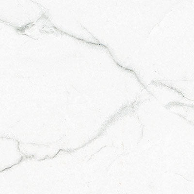Brighton Grey 12"x24" Matte Porcelain Floor and Wall Tile - MSI Collection closeup view