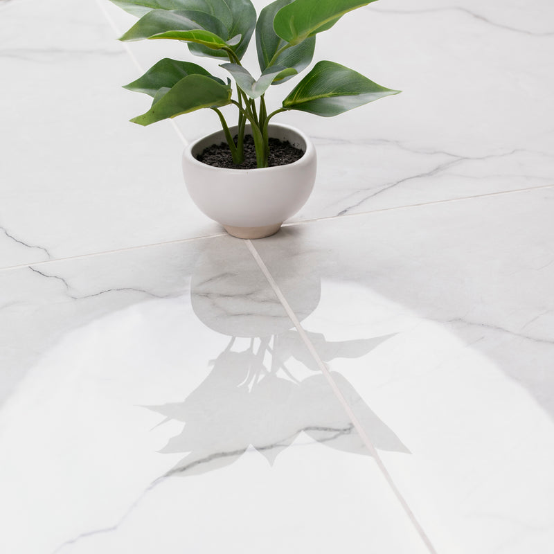 Brighton Grey 24"x24" Polished Porcelain Floor and Wall Tile - MSI Collection plant at table view