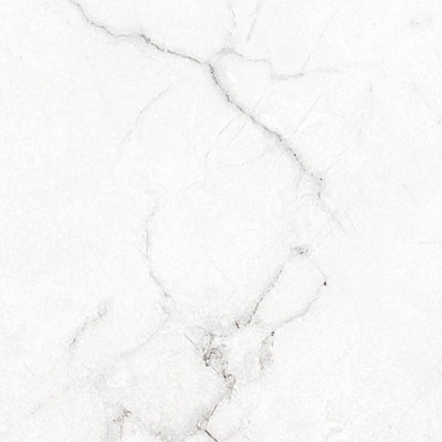 Brighton Grey 24"x24" Polished Porcelain Floor and Wall Tile - MSI Collection closeup view 2