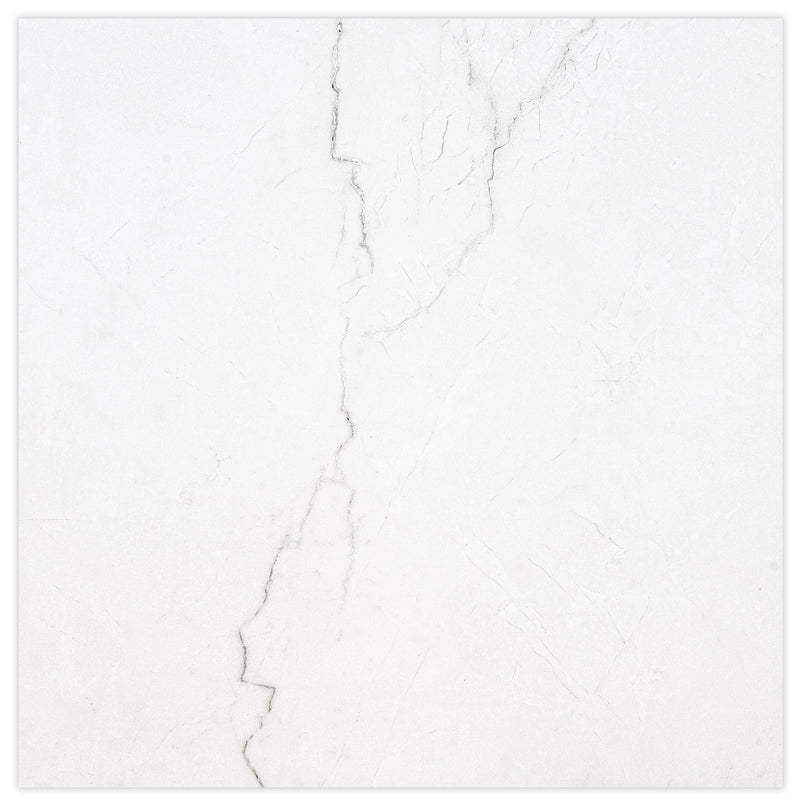 Brighton Grey 24"x24" Matte Porcelain Floor and Wall Tile - MSI Collection tile view