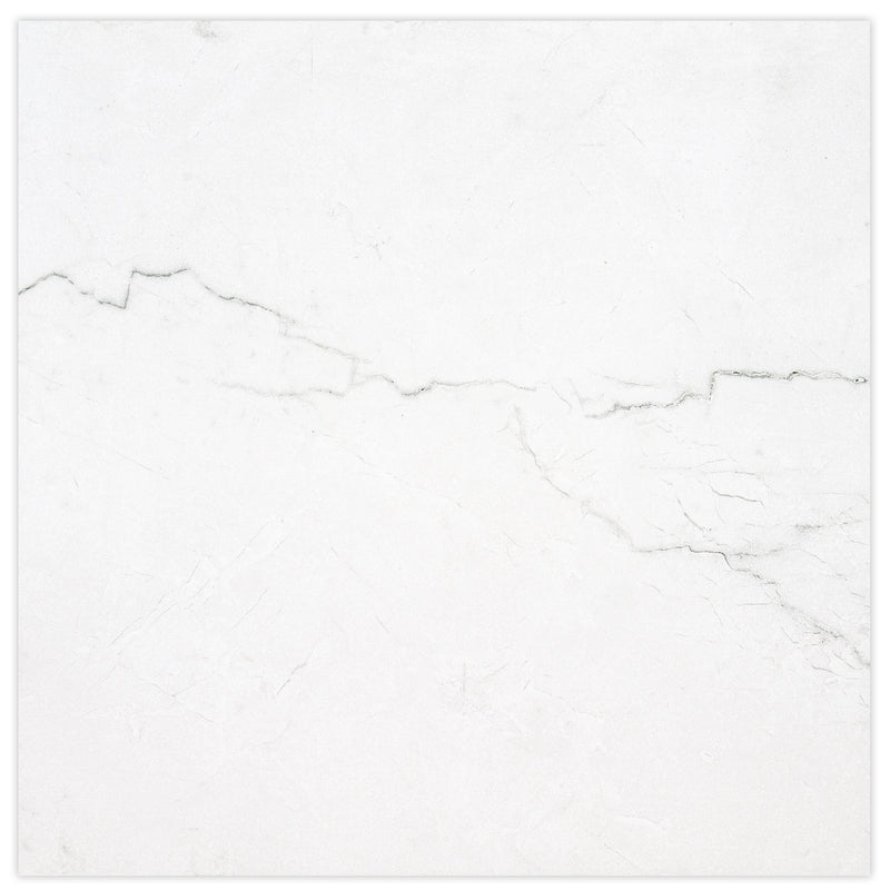 Brighton Grey 24"x24" Matte Porcelain Floor and Wall Tile - MSI Collection tile view 2