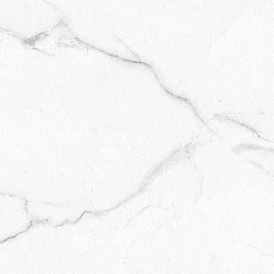 Brighton Grey 24"x24" Matte Porcelain Floor and Wall Tile - MSI Collection closeup view
