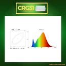 CRG31 Low Voltage In Ground RGB or WW LED Brick Paver Light Rectangle IP67 Waterproof
