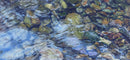 Rocky River 5 - Limited Edition Canvas Print