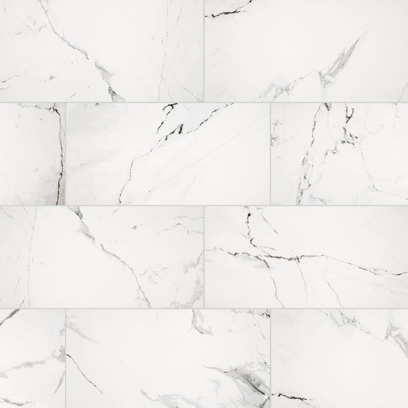Carrara White 12"x24" NHDCARWHI1224P Ceramic Floor and Wall Tile - MSI Collection top view