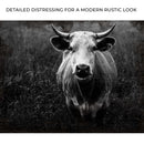 Longhorn Cattle Portrait Canvas Wall Art