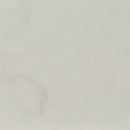 MSI Praia Carrara 3"x24" Polished Porcelain Bullnose Trim