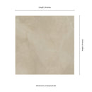 Sande Cream Polished Porcelain Floor and Wall Tile - MSI Collection