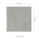 Sande Grey Polished Porcelain Floor and Wall Tile - MSI Collection