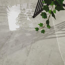 Sande 48"x48" Polished Porcelain Tile - MSI Collection