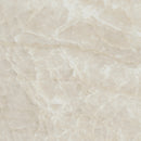 Legions Taja Ivory Matte Porcelain Floor And Wall Tile - MSI Collection