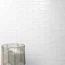 Terranello Pearl Glossy Ceramic Tile - MSI Collection