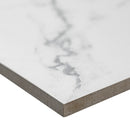 Roman Statuario 12"x24" Matte Porcelain Marble Look Floor And Wall Tile - MSI Collection