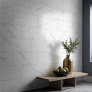 Roman Statuario 12"x24" Matte Porcelain Marble Look Floor And Wall Tile - MSI Collection