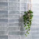 Village 4"x12" Matte Porcelain Subway Wall Tile - MSI Collection plant view